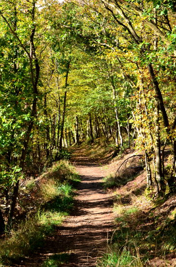 Eltzer Burgpanorama 1 6