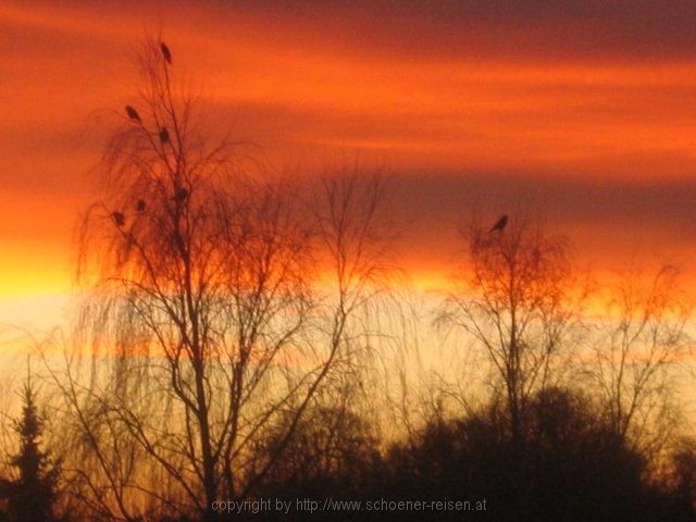Morgenröte in Tullnerbach