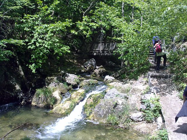 MUGGENDORF > Myra Fälle