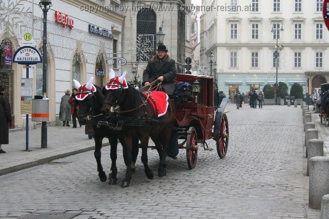 Fiaker am Stefansplatz
