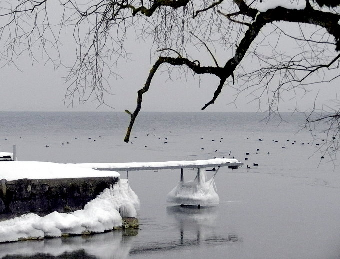 Winter 2012 am Chiemsee 6