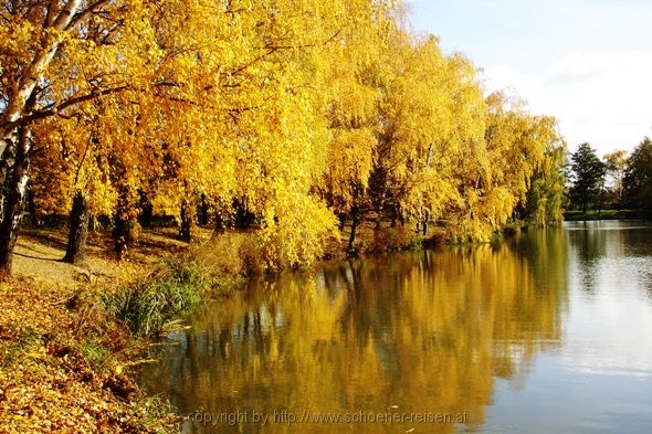 Pöllau > Herbst