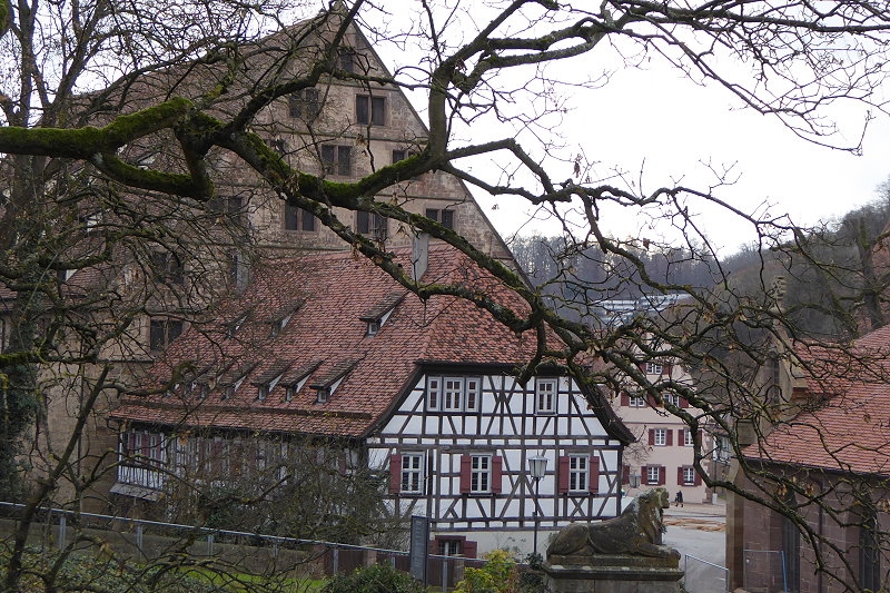 P1010274.JPG 800