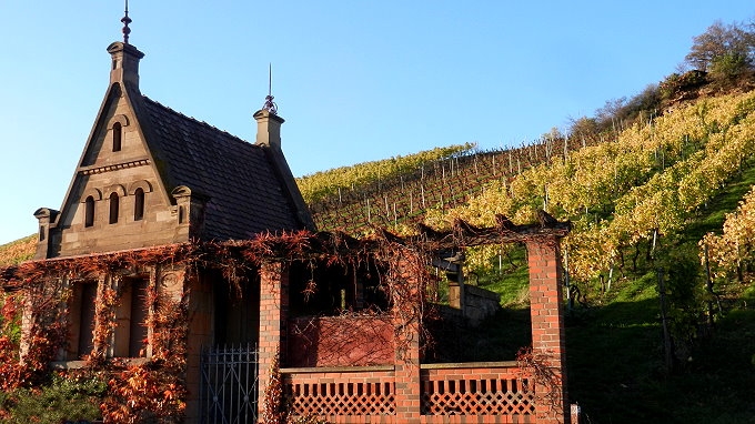 11 Heilbronn Weinsberg Weinberge 028.JPG 680