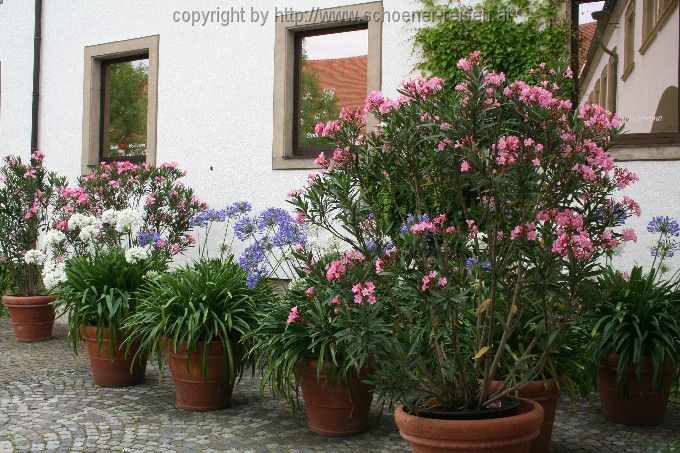 Heibronn 8