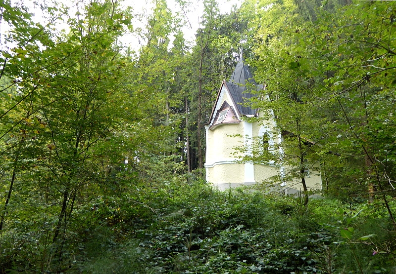 8 08 Kapelle und Pilze 018