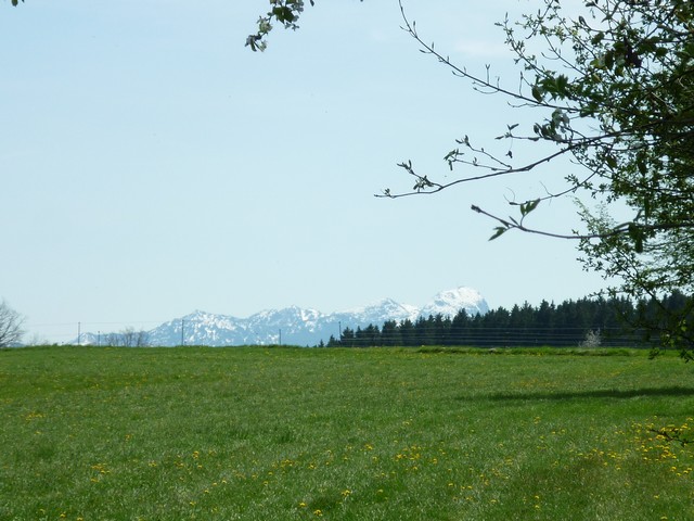 Frühlingsimpressionen 3