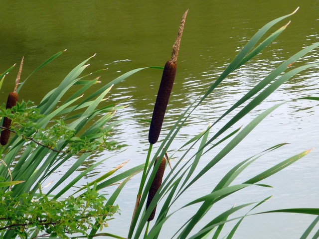 Voralpentour Bad Tölz/Wolfratshauser Land 7