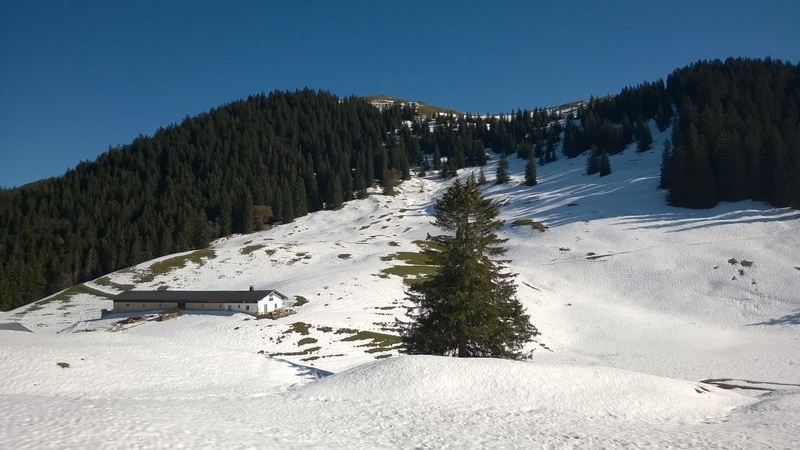 Auffahrt zur Lenggrieser Hütte