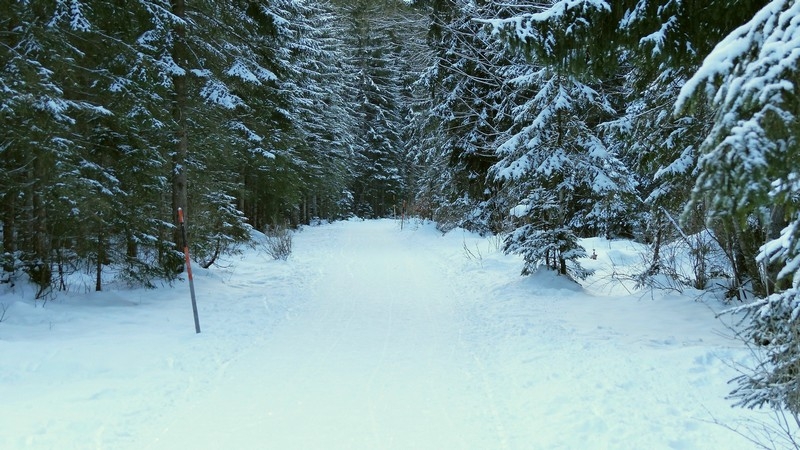Im Karwendelgebirge