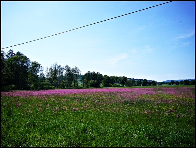Tschechische Natur 2