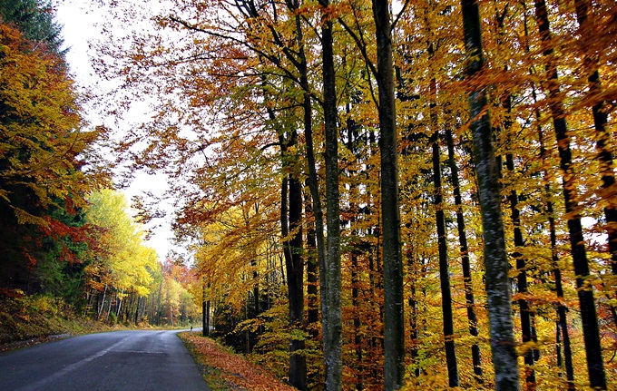 Herbst in Tschechien 6