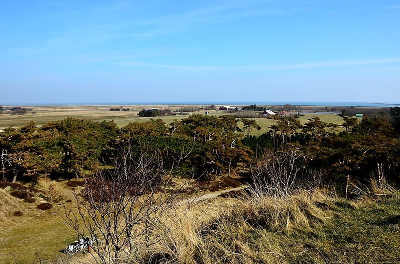 Rømø dsc_9414.jpg