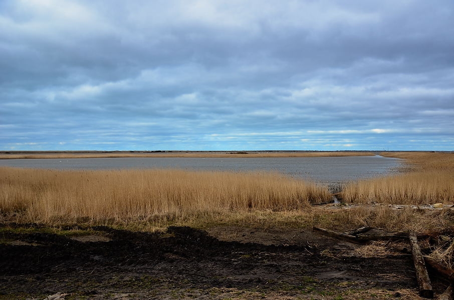 Nissum Fjord DSC_9610