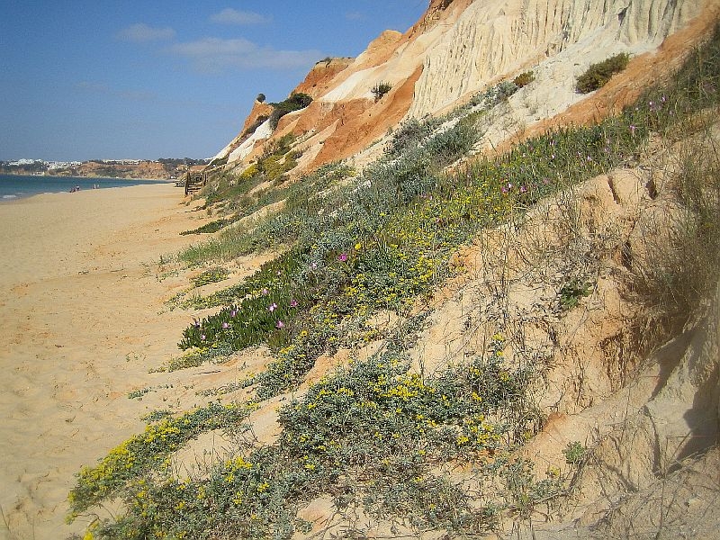 Algarve 2014 330