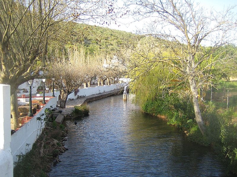 Alte (8)