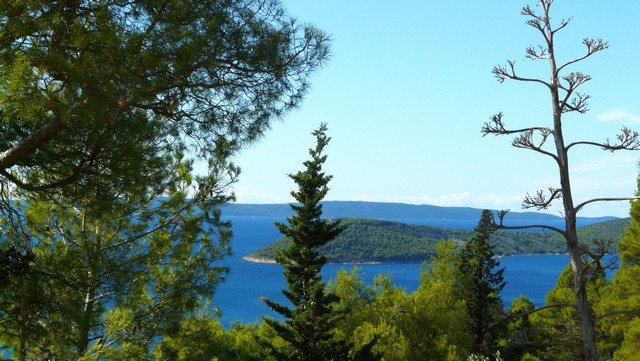 Herbst 2011, 14, Marjan 2