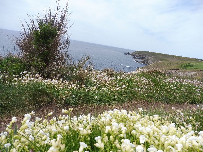 Bretagne (13)