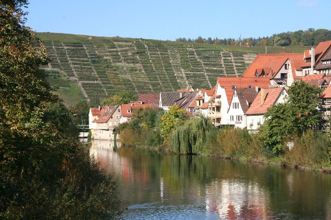 BESIGHEIM > Partie an der Enz