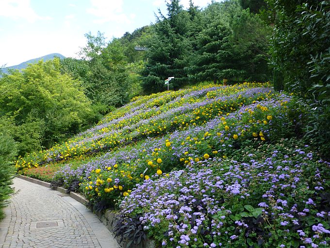 Meran>Trauttmansdorff052