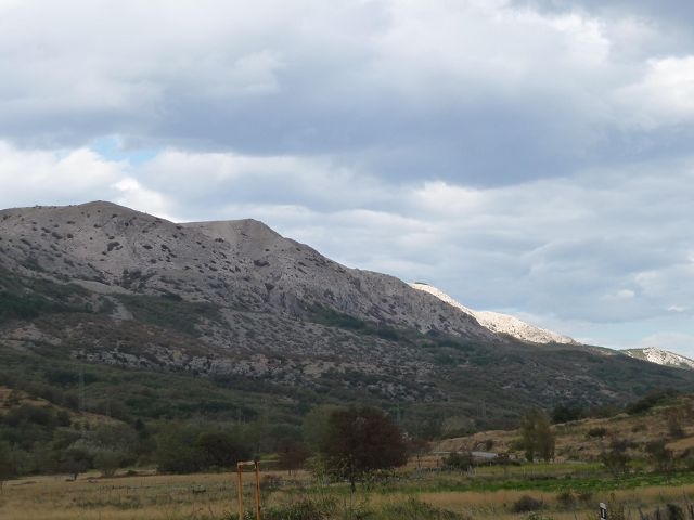 k-P1050501