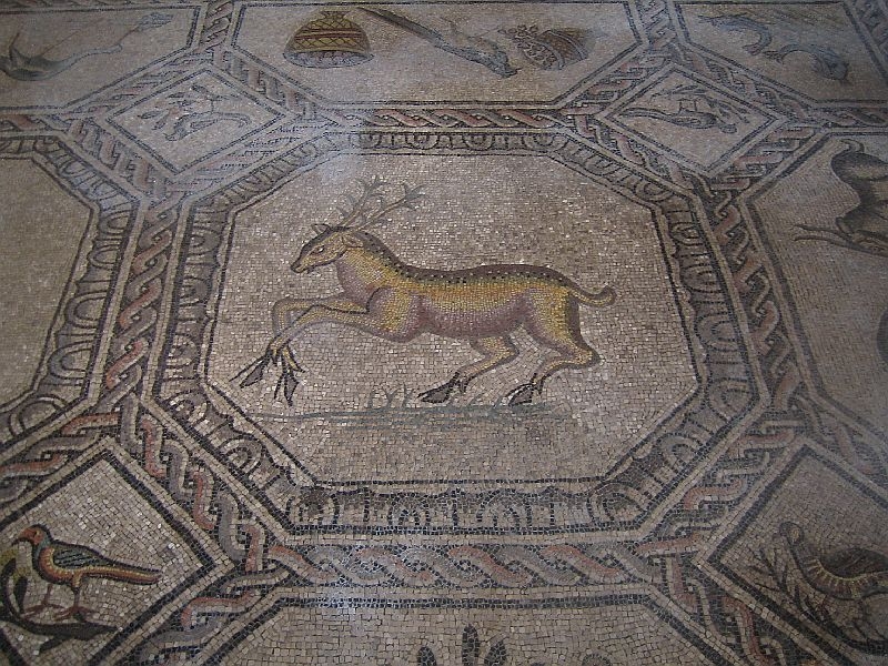 Mai 2013 Aquileia 126