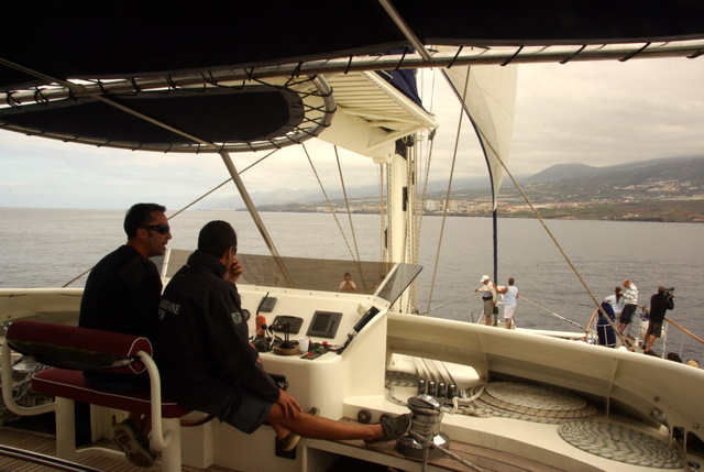 WAL-WATCHING ab Los Cristianos