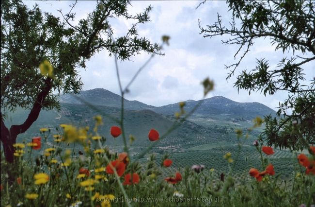 Spanien>Andalusienrundreise