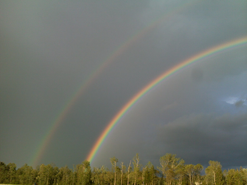 Spiegelung > Regenbogen über dem Inn