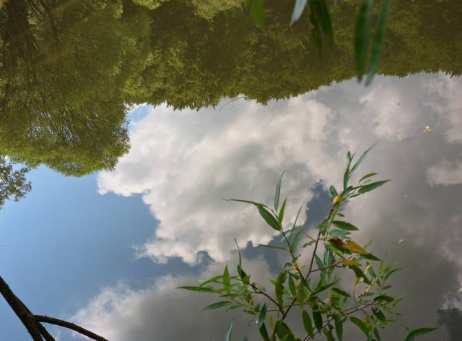 Fischteich>Spiegelung008
