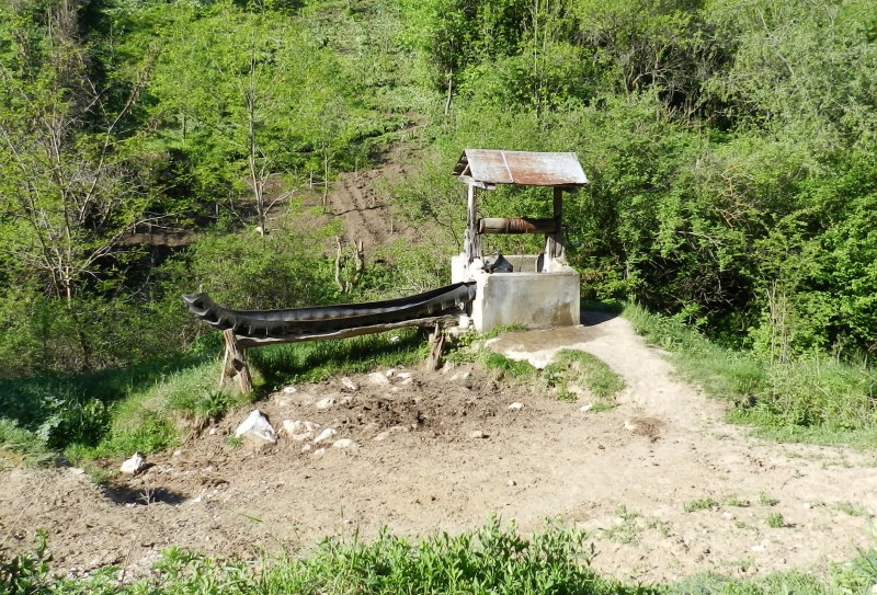 Cicau_alte Holzkirche (28)