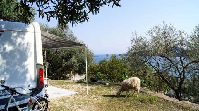 Molunat-01>Camp Monika