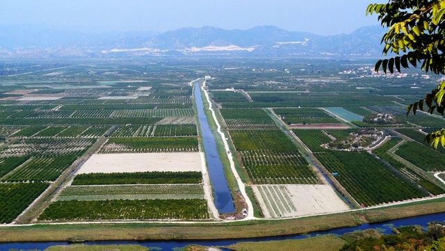 Herbst 2011/5: Peljesac  u.Korcula 2