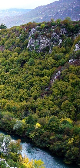 Herbst an der Cetina 2