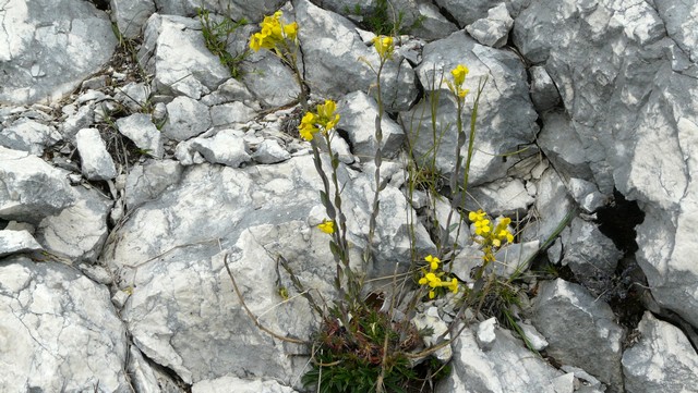 Dalmatien  , eine kleine Entdeckungsreise