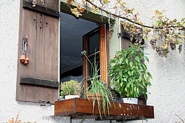 Einblicke > Katze am Fenster