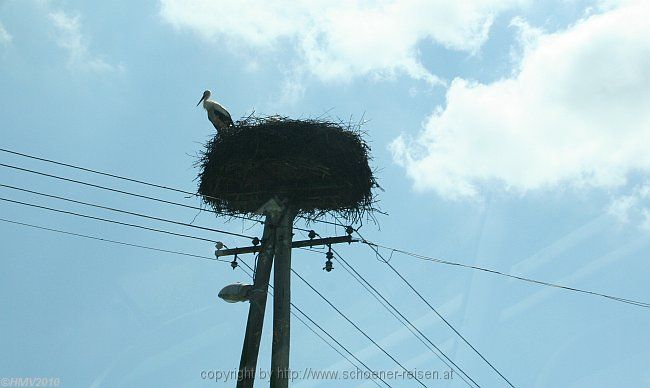 Ausblicke > Hoch droben gut verkabelt