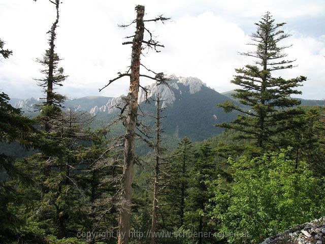 KARLOBAG > Nationalpark Velebit > Safari 8