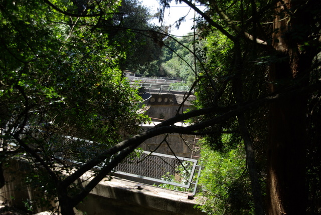 Istrien Brijuni Insel