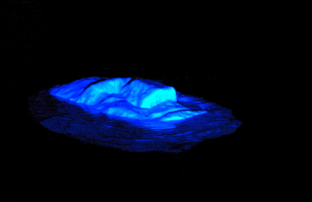 FAZANA > Rhapsodie in Blau