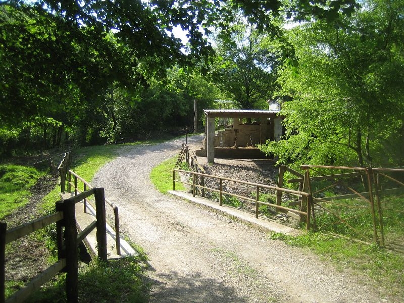 Gologorica (30)