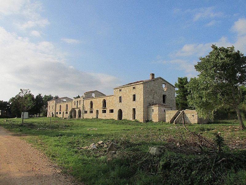 Kuk Landwirtschaft  (12)