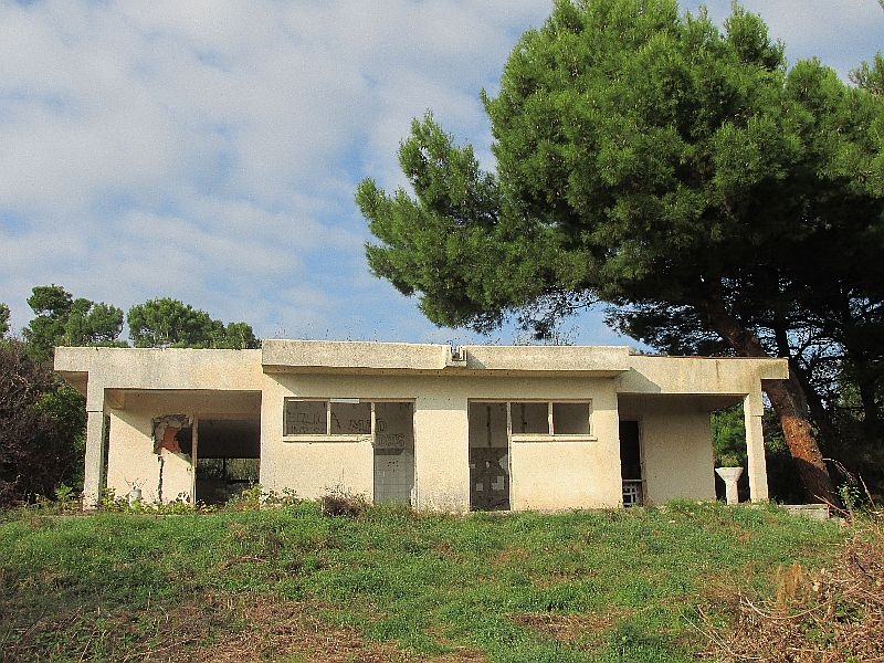 Kuk Landwirtschaft  (6)