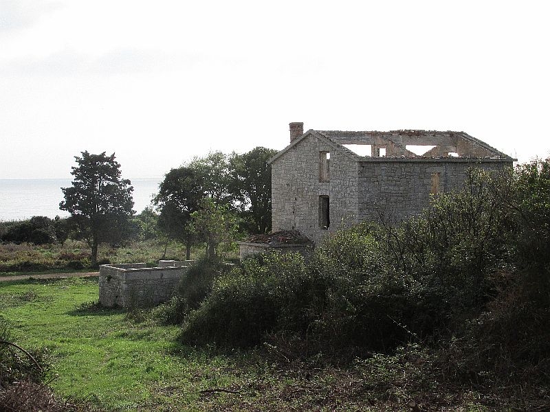 Kuk Landwirtschaft  (7)