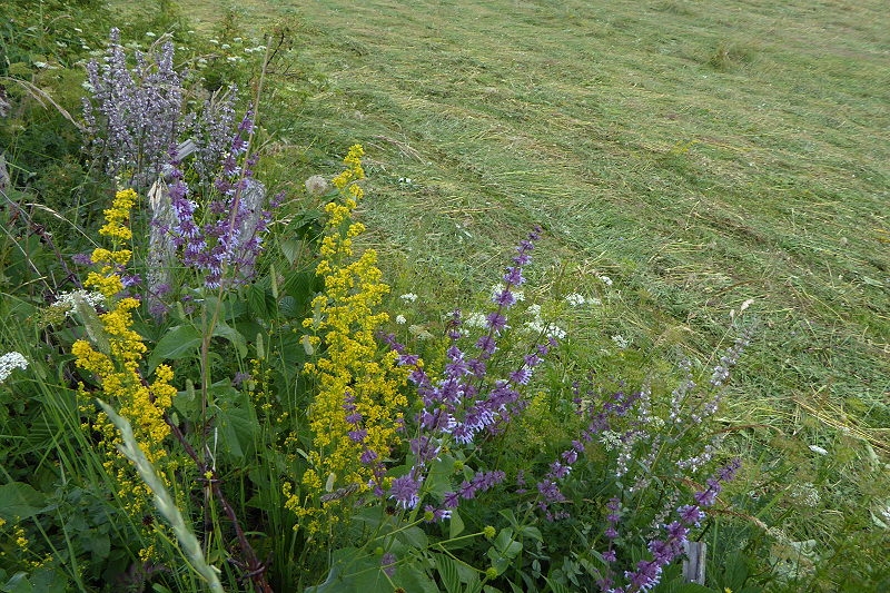 04 Zabljak Spaziergang Ivan Do 010 800