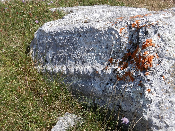 18 Stecci Riblje Jezero 071 680