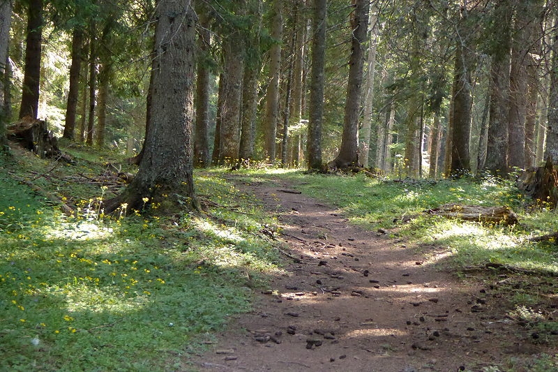 19 Zabljak Spaziergang Ivan Do 040 800