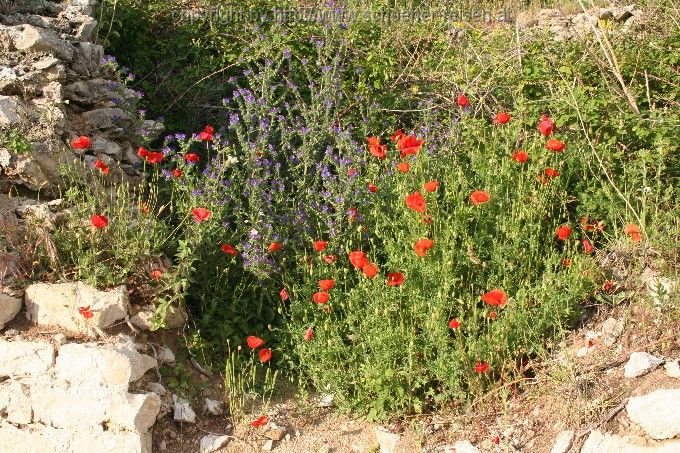 NIN > alte Bischofsstadt 6