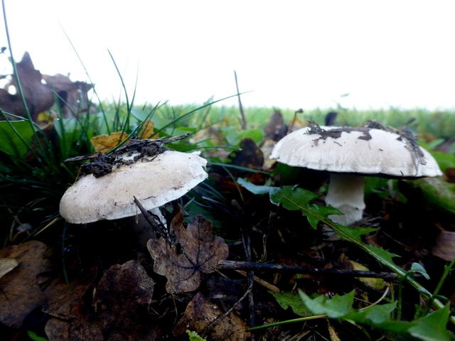 Ausflug an einem traumhaften Herbsttag