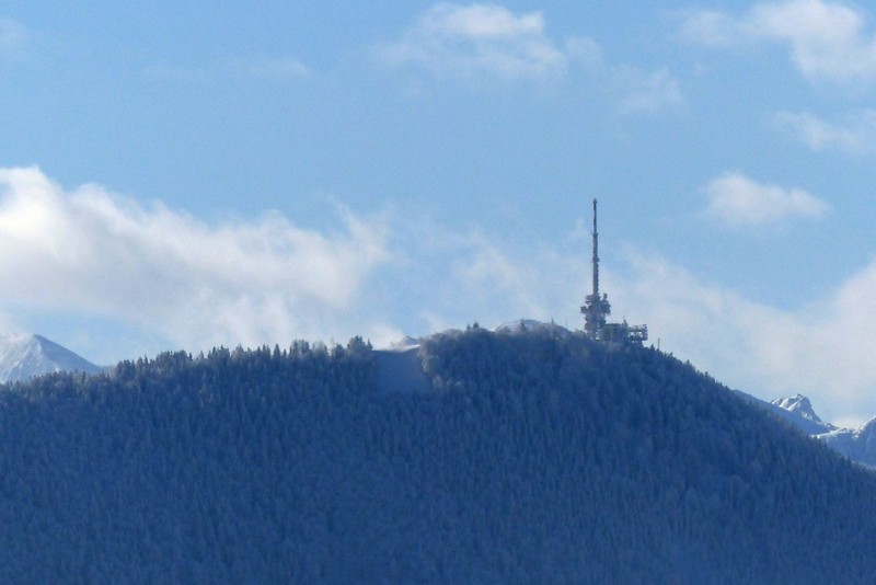 Zur Dichtlalm